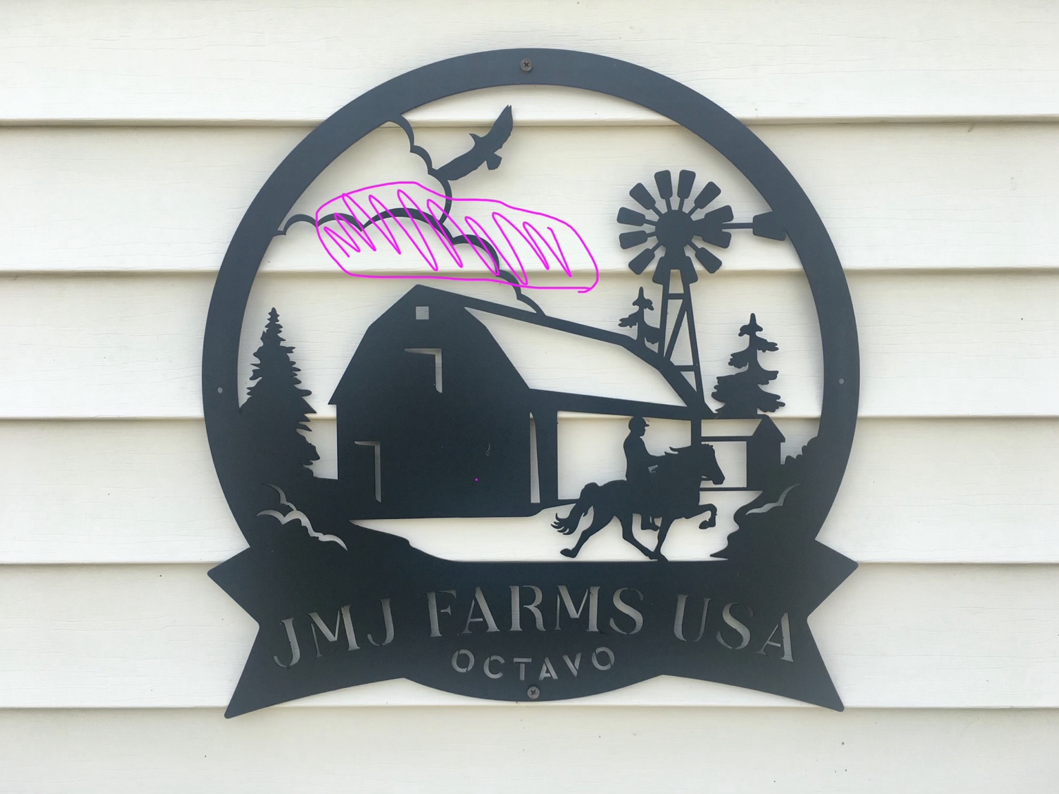 Chickens at JMJ Farms