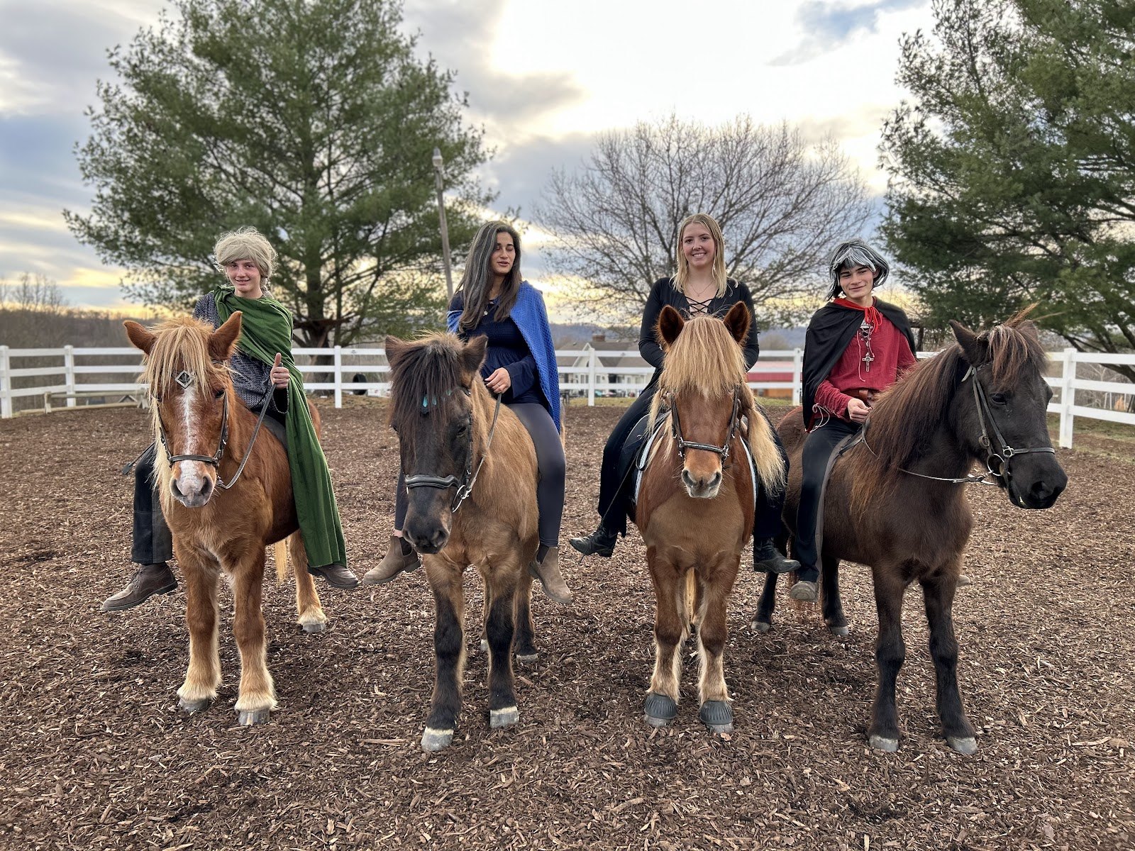 Riders and Icelandic horses