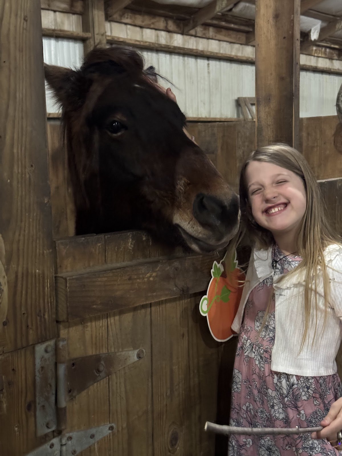 A young visitor meeting a horse