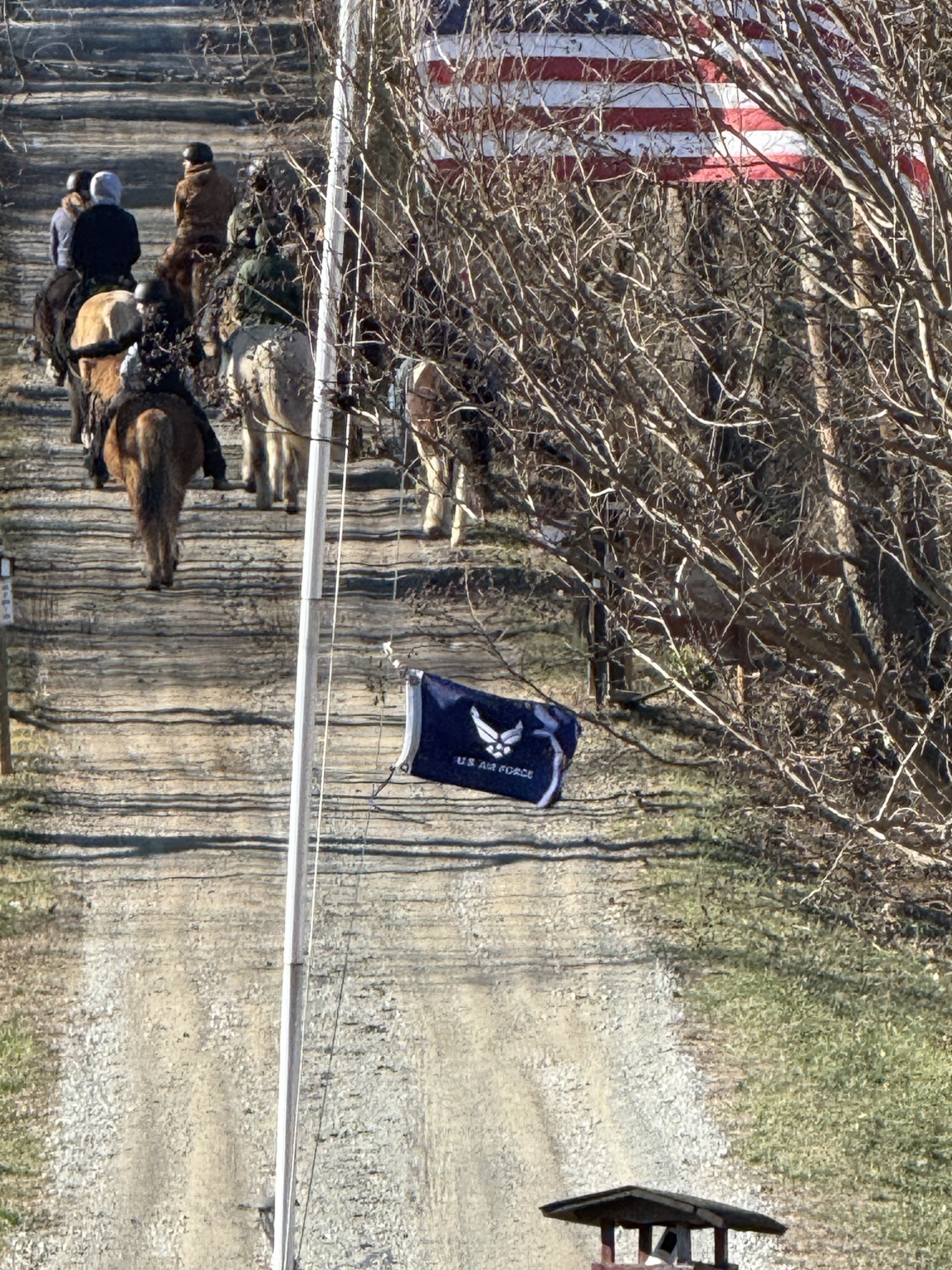 Horse at the farm in winter